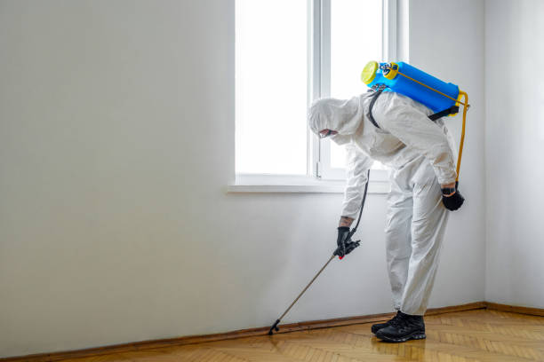 Best Local Pest Control Services  in Mount Pleasant, SC