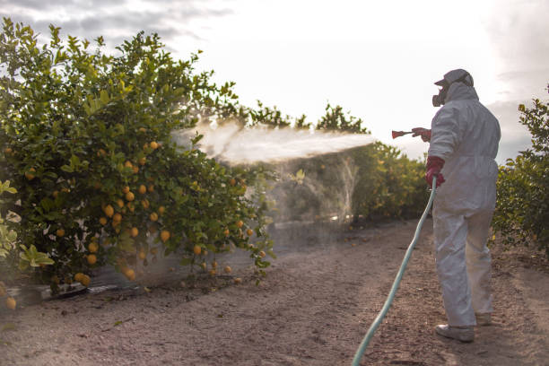 Best Wasp Removal Services  in Mount Pleasant, SC