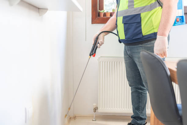 Best Best Pest Control Companies  in Mount Pleasant, SC