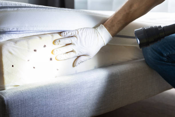 Best Wildlife Control Services  in Mount Pleasant, SC