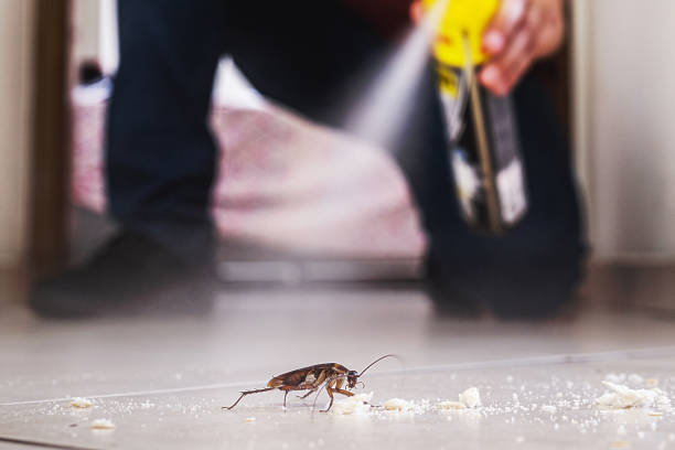 Best Commercial Pest Control Services  in Mount Pleasant, SC