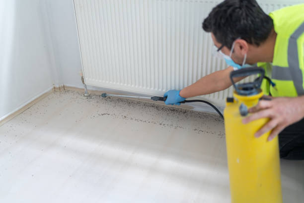 Best Pest Removal Services  in Mount Pleasant, SC