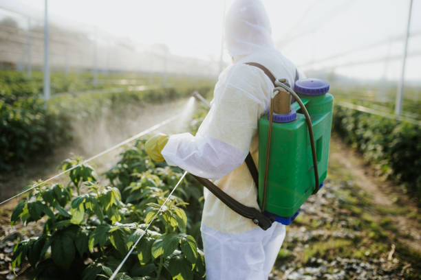 Mount Pleasant, SC Pest Control Company